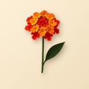 Blume